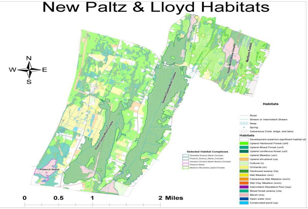 plutarch swamp -David Jakim and Lawrence McGlinn, Geography, SUNY-New Paltz,